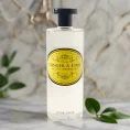 Naturally European Ginger & Lime Shower Gel
