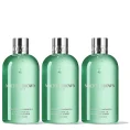 Molton Brown Wild Mint & Lavandin Bath & Shower Gel