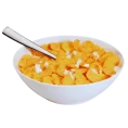 9.1
